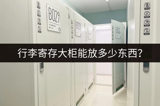 行李寄存大柜能放多少东西？
