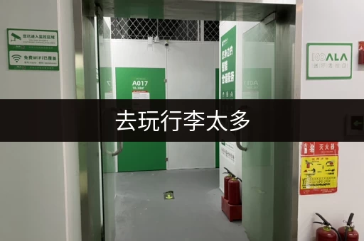 去玩行李太多，电脑能寄存吗？