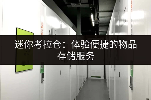 迷你考拉仓：体验便捷的物品存储服务