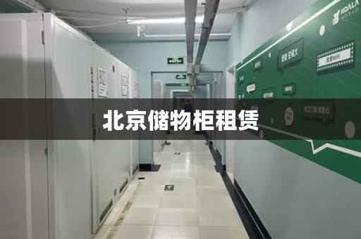 北京储物柜租赁，北京储物间能不能住人