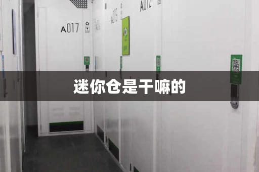 迷你仓是干嘛的，迷你仓储
