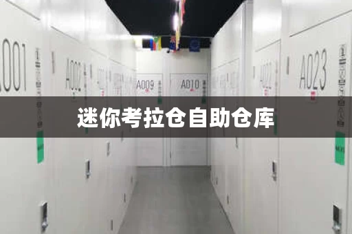 迷你考拉仓自助仓库，迷你考拉仓储