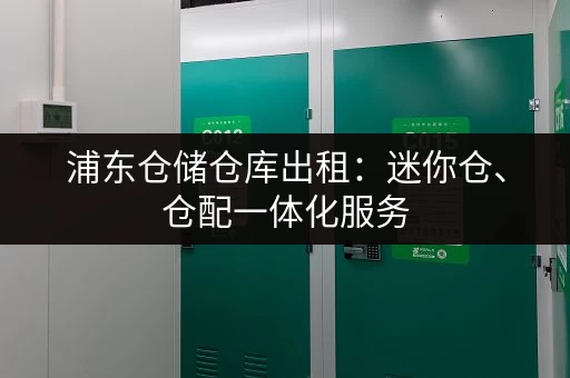 浦东仓储仓库出租：迷你仓、仓配一体化服务