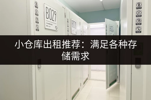 小仓库出租推荐：满足各种存储需求