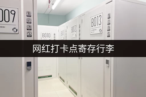 网红打卡点寄存行李，安全隐患你了解吗？