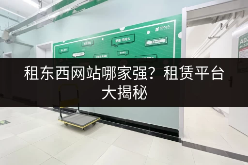 租东西网站哪家强？租赁平台大揭秘