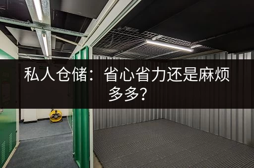 私人仓储：省心省力还是麻烦多多？
