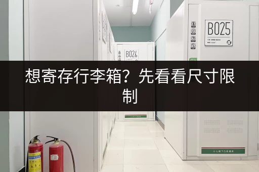 想寄存行李箱？先看看尺寸限制