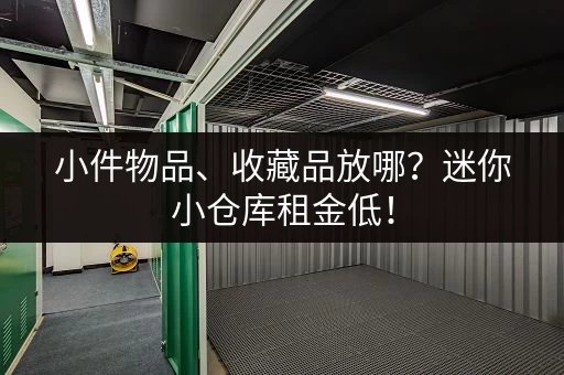 小件物品、收藏品放哪？迷你小仓库租金低！