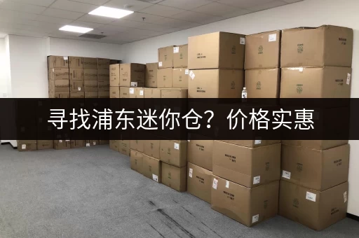 寻找浦东迷你仓？价格实惠，空间灵活