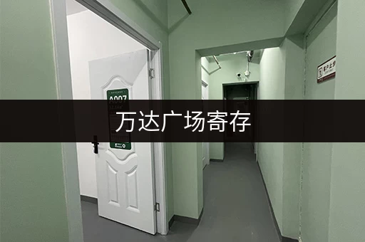 万达广场寄存，轻松游玩