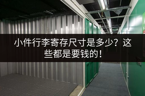 小件行李寄存尺寸是多少？这些都是要钱的！