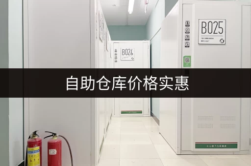 自助仓库价格实惠，适合电商、个人物品寄存