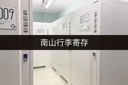南山行李寄存，旅游出差必备指南