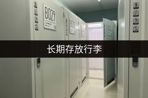 长期存放行李，哪里安全又方便？