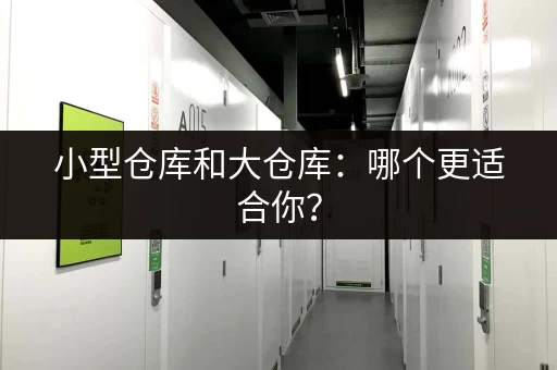 小型仓库和大仓库：哪个更适合你？