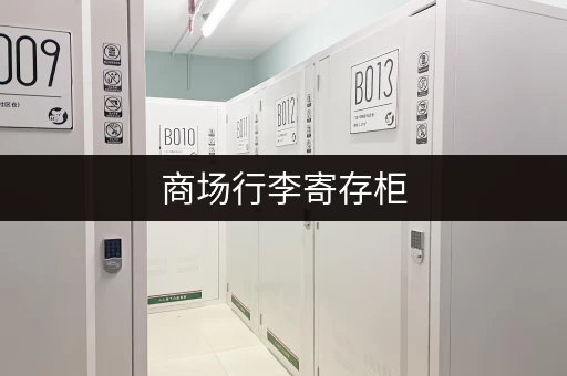 商场行李寄存柜，东西会丢吗？