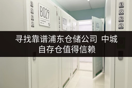 寻找靠谱浦东仓储公司  中城自存仓值得信赖