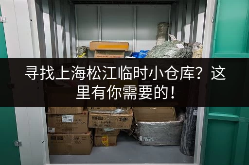 寻找上海松江临时小仓库？这里有你需要的！