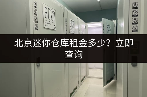 北京迷你仓库租金多少？立即查询，节省您的时间和精力