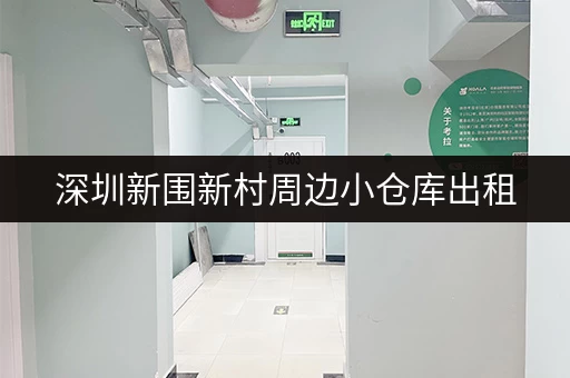 深圳新围新村周边小仓库出租，安全可靠，环境优美！