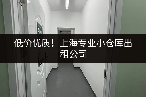 低价优质！上海专业小仓库出租公司，安全有保障
