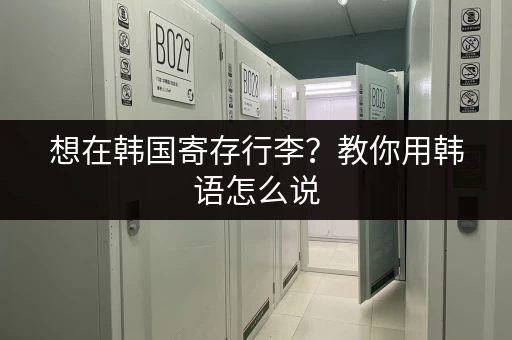 想在韩国寄存行李？教你用韩语怎么说