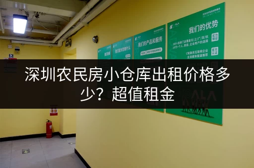 深圳农民房小仓库出租价格多少？超值租金，灵活租赁方案