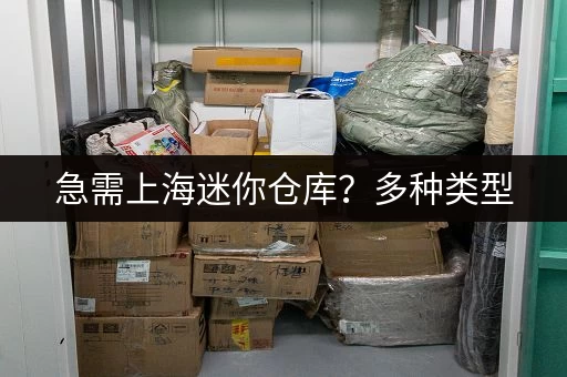 急需上海迷你仓库？多种类型，灵活租赁，方便快捷