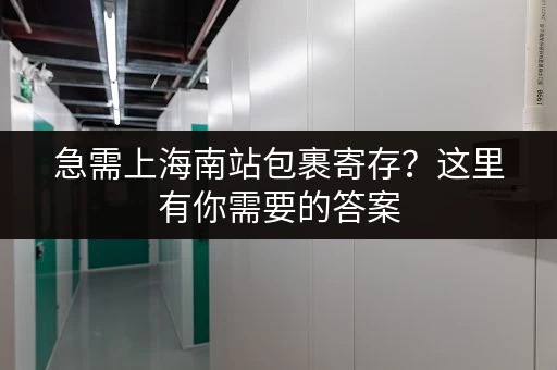 急需上海南站包裹寄存？这里有你需要的答案