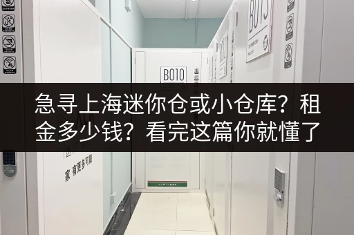 急寻上海迷你仓或小仓库？租金多少钱？看完这篇你就懂了