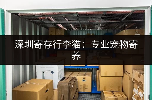 深圳寄存行李猫：专业宠物寄养，安心托付您的爱猫