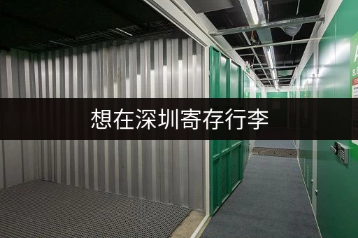 想在深圳寄存行李，怎么收费？有哪些地方可以寄存？