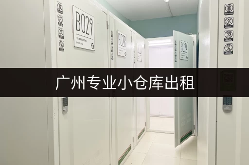 广州专业小仓库出租，价格实惠空间灵活