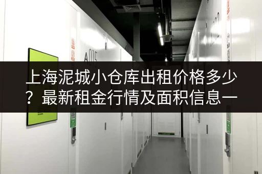 上海泥城小仓库出租价格多少？最新租金行情及面积信息一览
