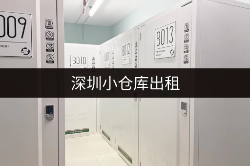 深圳小仓库出租，个人房屋也能租，价格实惠！
