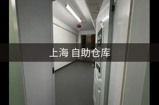 上海 自助仓库，上海市自助小仓库出租