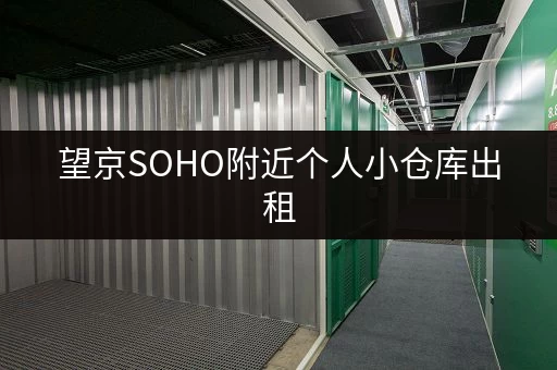 望京SOHO附近个人小仓库出租，电话预约，方便快捷