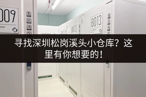 寻找深圳松岗溪头小仓库？这里有你想要的！