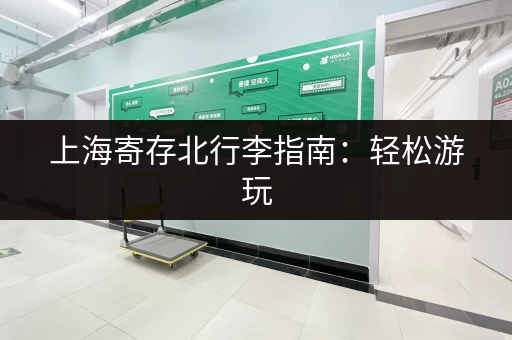上海寄存北行李指南：轻松游玩，无需为行李烦恼