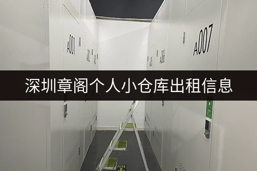 深圳章阁个人小仓库出租信息，月租日租均可！