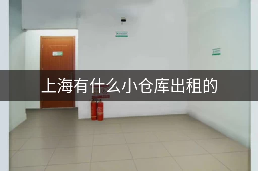 上海有什么小仓库出租的，上海周边仓库出租