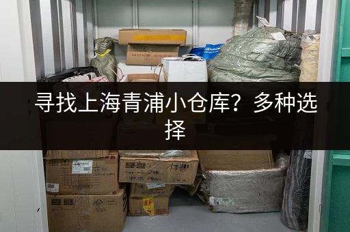 寻找上海青浦小仓库？多种选择，满足您的需求