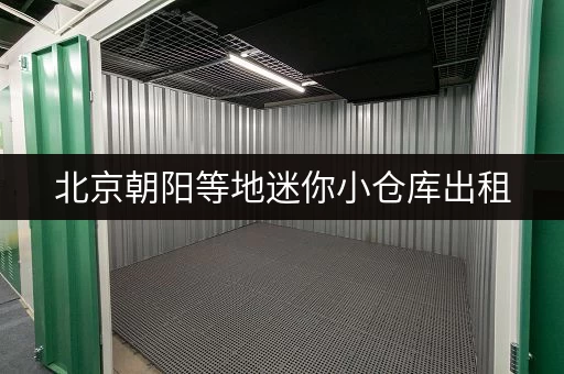 北京朝阳等地迷你小仓库出租，低价优惠，立即咨询！