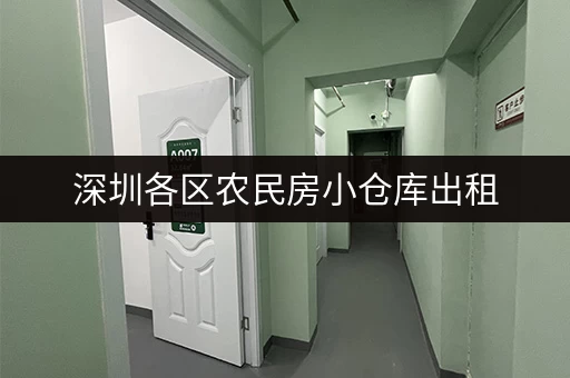 深圳各区农民房小仓库出租，方便快捷，安全可靠