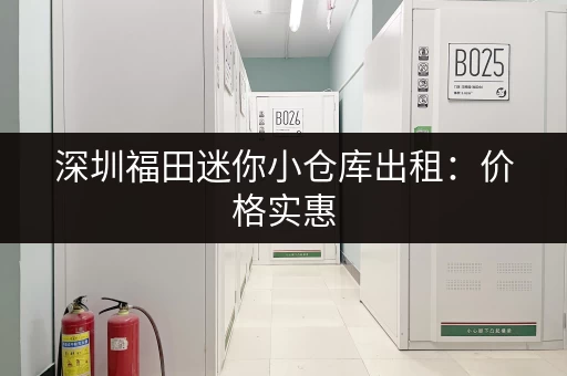 深圳福田迷你小仓库出租：价格实惠，位置优越