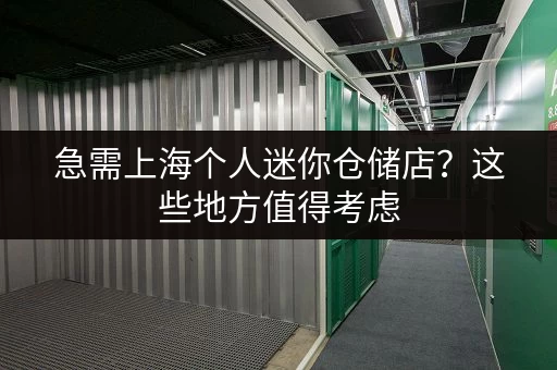 急需上海个人迷你仓储店？这些地方值得考虑
