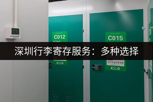 深圳行李寄存服务：多种选择，满足您的各种需求