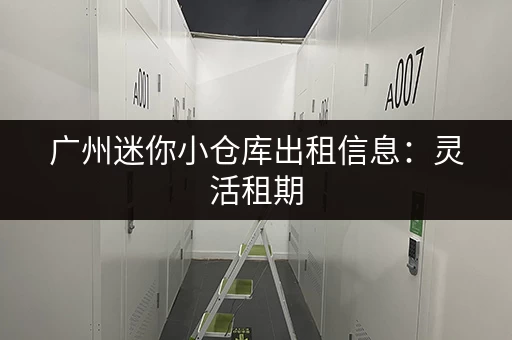 广州迷你小仓库出租信息：灵活租期，安全可靠，解决您的存储难题！