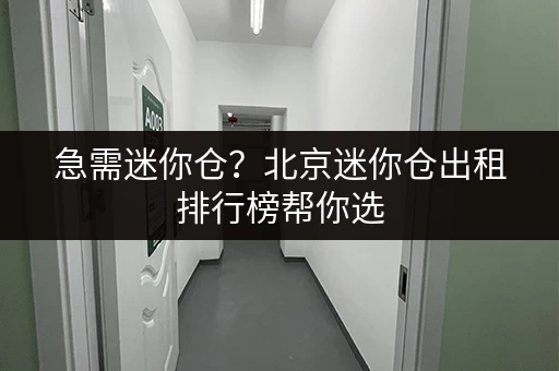急需迷你仓？北京迷你仓出租排行榜帮你选